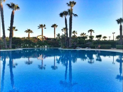 伊斯兰蒂拉Luxurious Apartment Islantilla的一座棕榈树环绕的大型游泳池