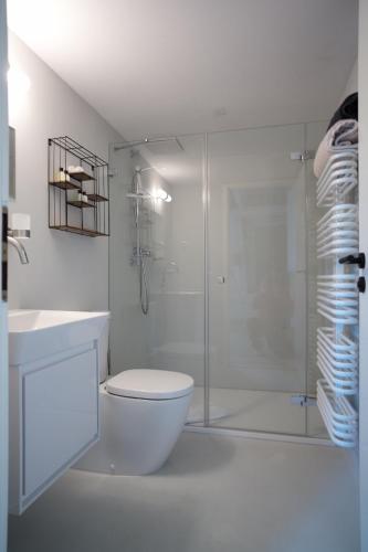 奥斯特巴德·哥伦Pension Zum grünen Kakadu的带淋浴、卫生间和盥洗盆的浴室