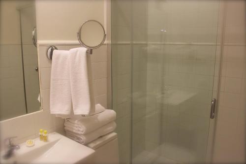 托莱多Casa Urbana Adolfo的带淋浴、盥洗盆和镜子的浴室
