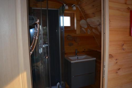 库谢韦尔尼domaine des chevrettes的带淋浴和盥洗盆的浴室