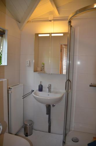 KlarenbeekChalet t Kla-viertje的一间带水槽和淋浴的浴室