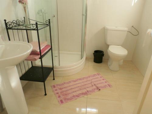 BijiloB & B Villa Calliandra的带淋浴、盥洗盆和卫生间的浴室