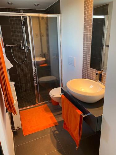 Grez-DoiceauLeen & Bruno's NamaStay的一间带水槽、卫生间和淋浴的浴室