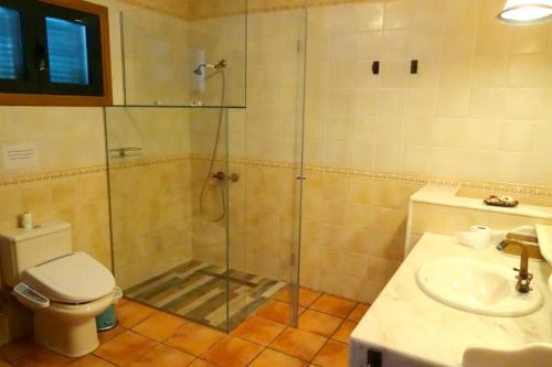瓜蒂萨Casa MARE的带淋浴、卫生间和盥洗盆的浴室