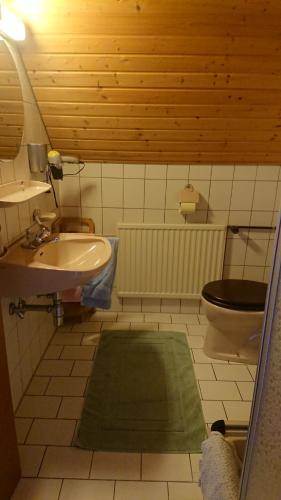 Gästehaus der Gamser Winzerstube的一间浴室