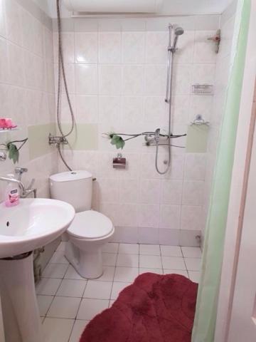 特里亚夫纳Къща Чалъкови的浴室配有卫生间、盥洗盆和淋浴。