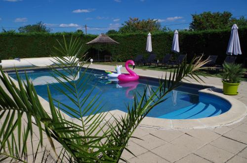 Senouillac拉威格尼洛尼尚布里斯住宿加早餐旅馆的游泳池里有两个天鹅