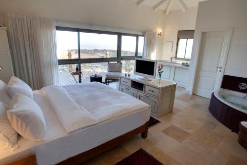 罗什平纳Boutique Hotel Tamarin的一间卧室配有一张床、一台电视和一个浴缸