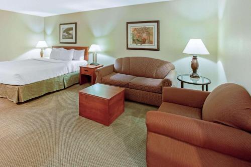 阿普尔顿阿普尔顿学院大道拉金塔旅馆及套房酒店的酒店客房,配有床、沙发和椅子