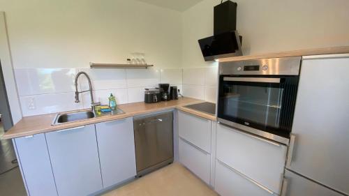 布伦瑞克Bs生活公寓的一间带水槽和微波炉的小厨房