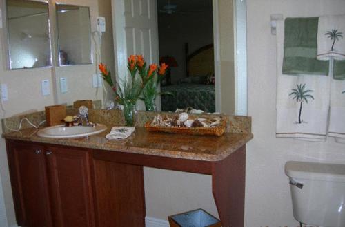 富豪棕榈度假村别墅酒店及Spa的一间浴室