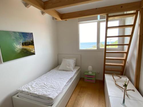 圣让-德吕兹Bel appartement vue mer - 1er rang front de mer的小卧室设有一张床和梯子