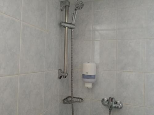 德丁基CHATA NATAŠA的浴室内配有淋浴和头顶淋浴