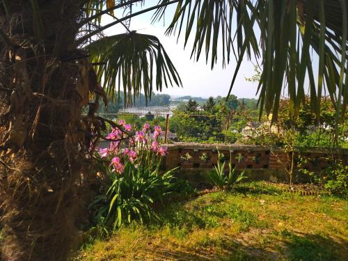 罗什科尔邦Le Gite de la Loire的种有粉红色花卉和棕榈树的花园