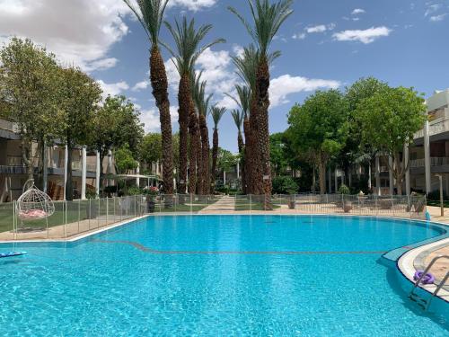 埃拉特Top Royal Eilat רויאל פארק的一座棕榈树环绕的大型游泳池