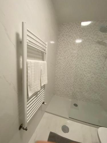 阿鲁卡Casa da Vila的带淋浴和卫生间的白色浴室