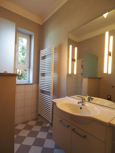 克拉根福瑞兹公寓的一间带水槽和镜子的浴室