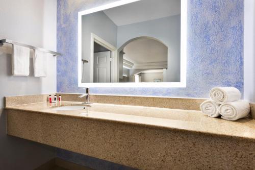 休斯顿休斯敦荷比机场戴斯旅馆&套房酒店的一间带水槽和镜子的浴室