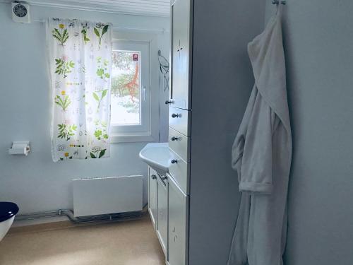 韦特兰达Stuga Holmasjön的浴室设有水槽和窗户