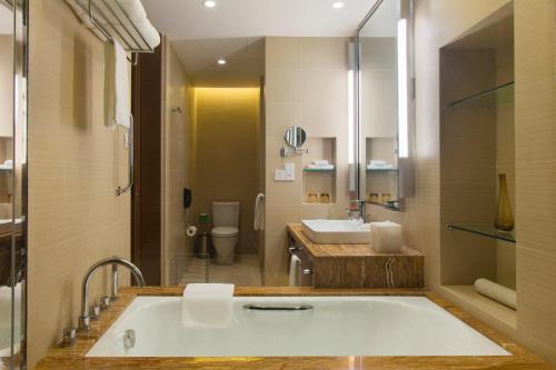 南阳Holiday Inn Nanyang, an IHG Hotel的带浴缸、卫生间和盥洗盆的浴室