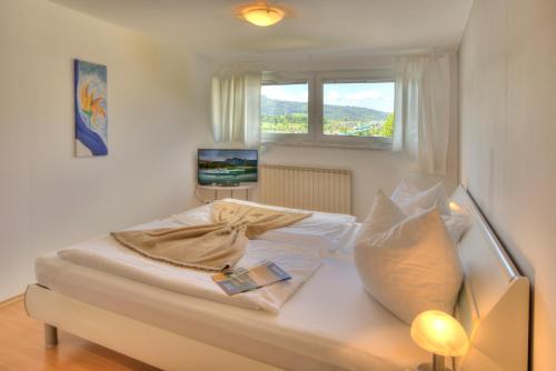 蒙德塞赫梅兹博格酒店的一间卧室配有一张带窗户的床和一台电视