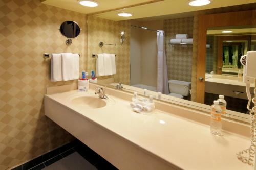 托雷翁托雷翁智选假日酒店的一间带水槽和大镜子的浴室