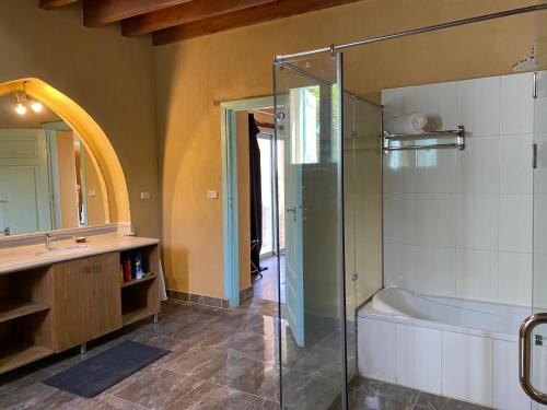 ‘Izbat an NāmūsKom El Dikka Agri Lodge的带淋浴、浴缸和盥洗盆的浴室