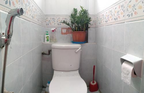 哥打京那巴鲁斯代普因山林小屋的浴室设有卫生间,上面有植物