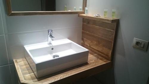 奥纲赖泽全景酒店的浴室设有白色水槽和镜子