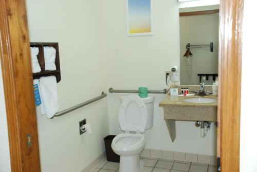 戴尔斯堡戴尔斯堡戴斯酒店的一间带卫生间和水槽的浴室
