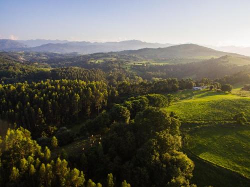 MuñorroderoPosada de Muño的享有山谷的树木和山脉的空中景致