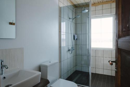 KoljalaRosi Puhkemaja的带淋浴、卫生间和盥洗盆的浴室