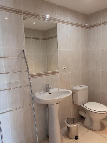 赛拉古斯Mas Rondole - Chambres d'hôtes的一间带水槽、卫生间和镜子的浴室