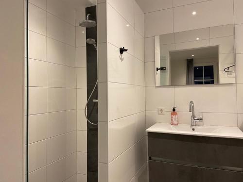 达尔夫森Hof van Lenthe appartement De Mars的带淋浴、盥洗盆和镜子的浴室
