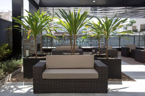库里提巴库里提巴五号NH酒店的棕榈树庭院的椅子