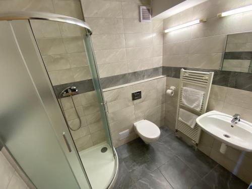 利贝雷茨阿雷纳酒店的带淋浴、卫生间和盥洗盆的浴室