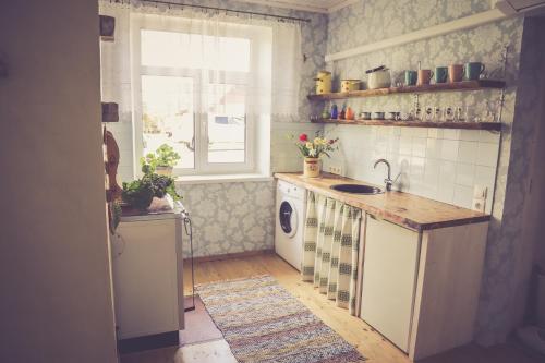 凯尔德拉Kärdla Retrovisiit Helmi的一个带水槽和窗户的小厨房