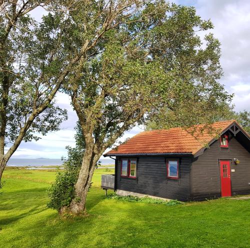 Bø AndøyaMarmelkroken AS的树旁有红色门的小房子