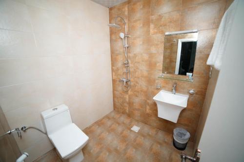塞拉莱Star Emirates Downtown的浴室配有卫生间、盥洗盆和淋浴。