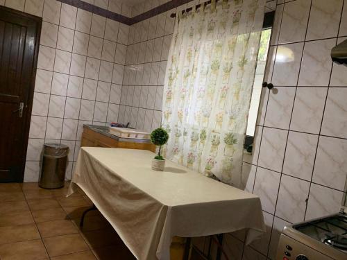 Vila Sofia的一间浴室