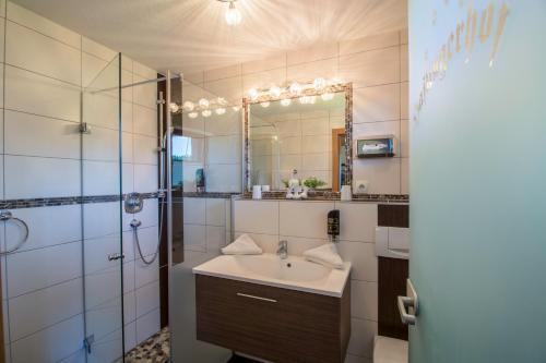 克拉姆萨赫Haflingerhof的一间带水槽、淋浴和镜子的浴室