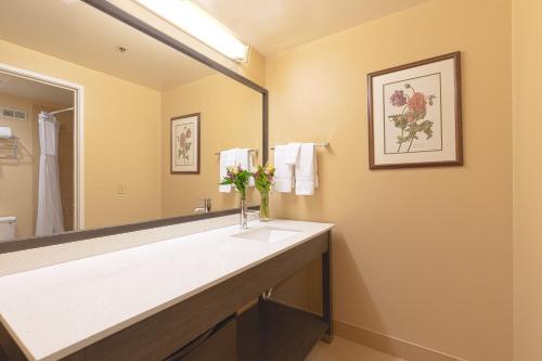 韦纳奇韦纳奇海岸中心酒店的一间带水槽和大镜子的浴室