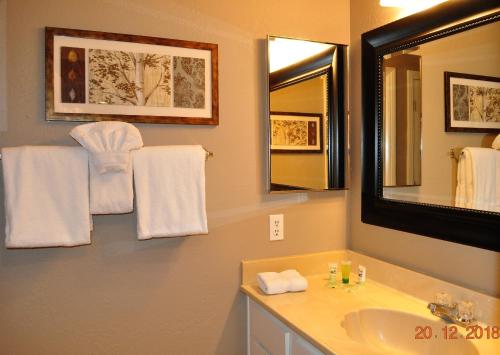 马姆莫斯湖Mammoth Ski & Racquet Club #38 - Pet Okay的浴室配有盥洗盆、镜子和毛巾