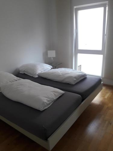 威斯巴登Ferien am Wasser的一张床上有两个枕头的房间