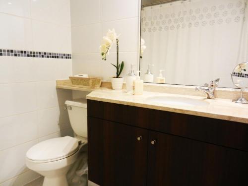 塔尔卡Apartamentos Terrazas de Talca的一间带卫生间、水槽和镜子的浴室