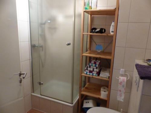 什未林Vis-a-vis-Berliner-Tor的浴室里设有玻璃门淋浴