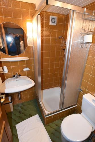 PillHotel Klausen的带淋浴、卫生间和盥洗盆的浴室