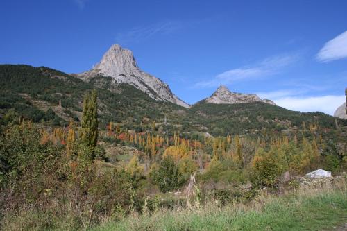 萨连特加列戈Casa con jardín Sallent的山间树木和山脉的背景