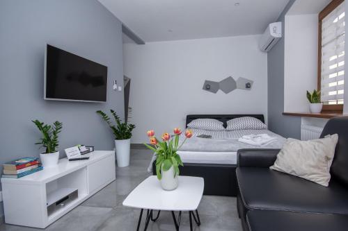 琴斯托霍瓦Apartamenty AP 12的客厅配有床和沙发