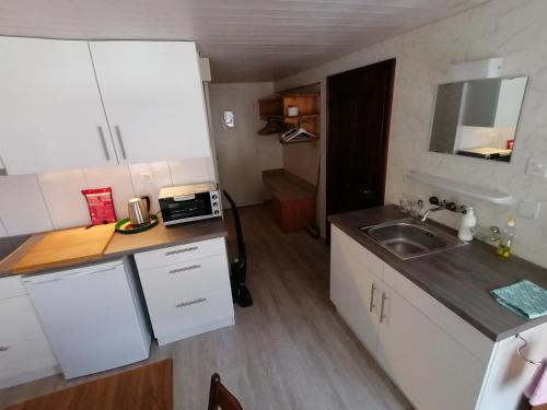 阿尔卑纳赫施塔德Rössli Apartment的小厨房配有白色橱柜和水槽